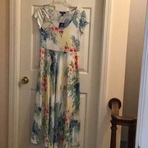 Chaps floral print cotton dress. Misses M